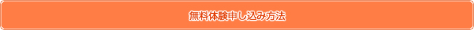 ̌\ݕ@